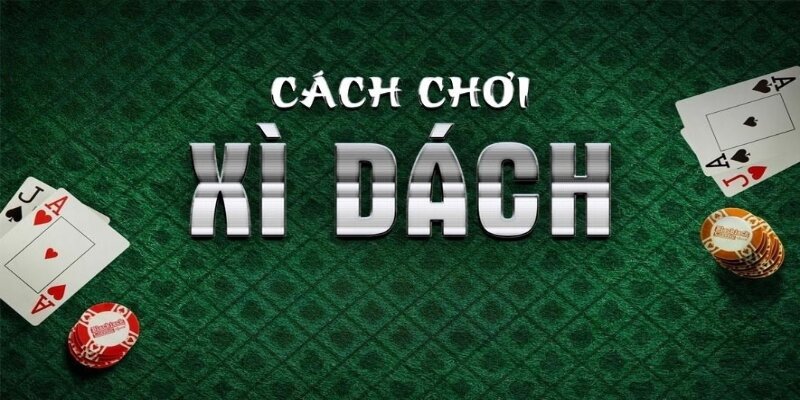 Cách Chơi Bài Xì Dách Chinh Phục Tiền Thưởng Lớn Cùng VN88