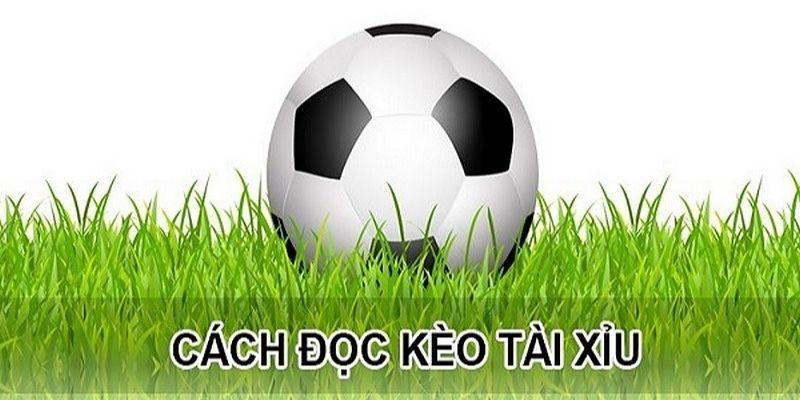 Cách đọc kèo tài xỉu theo từng trường hợp