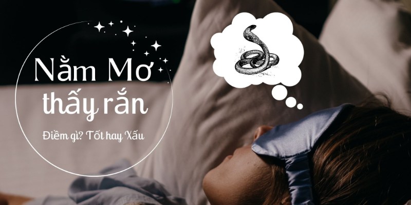 Nằm mơ thấy rắn tốt hay xấu?