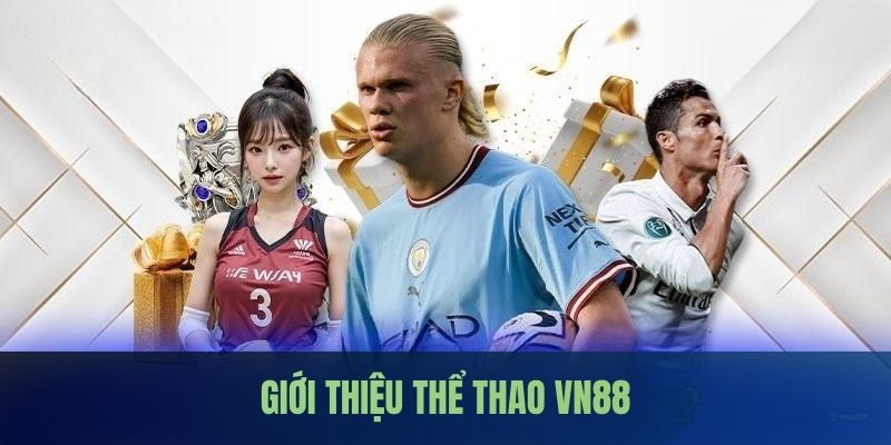 Thông tin sơ lược về chuyên mục thể thao VN88