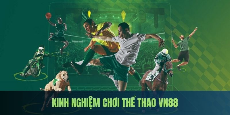 Tổng hợp chiến thuật soi kèo bao thắng tại thể thao VN88